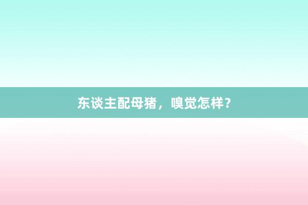 东谈主配母猪,嗅觉怎样?