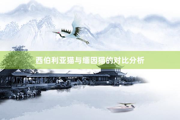 西伯利亚猫与缅因猫的对比分析