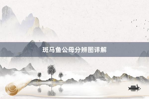 斑马鱼公母分辨图详解